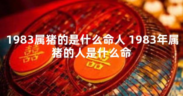 1983属猪的是什么命人 1983年属猪的人是什么命